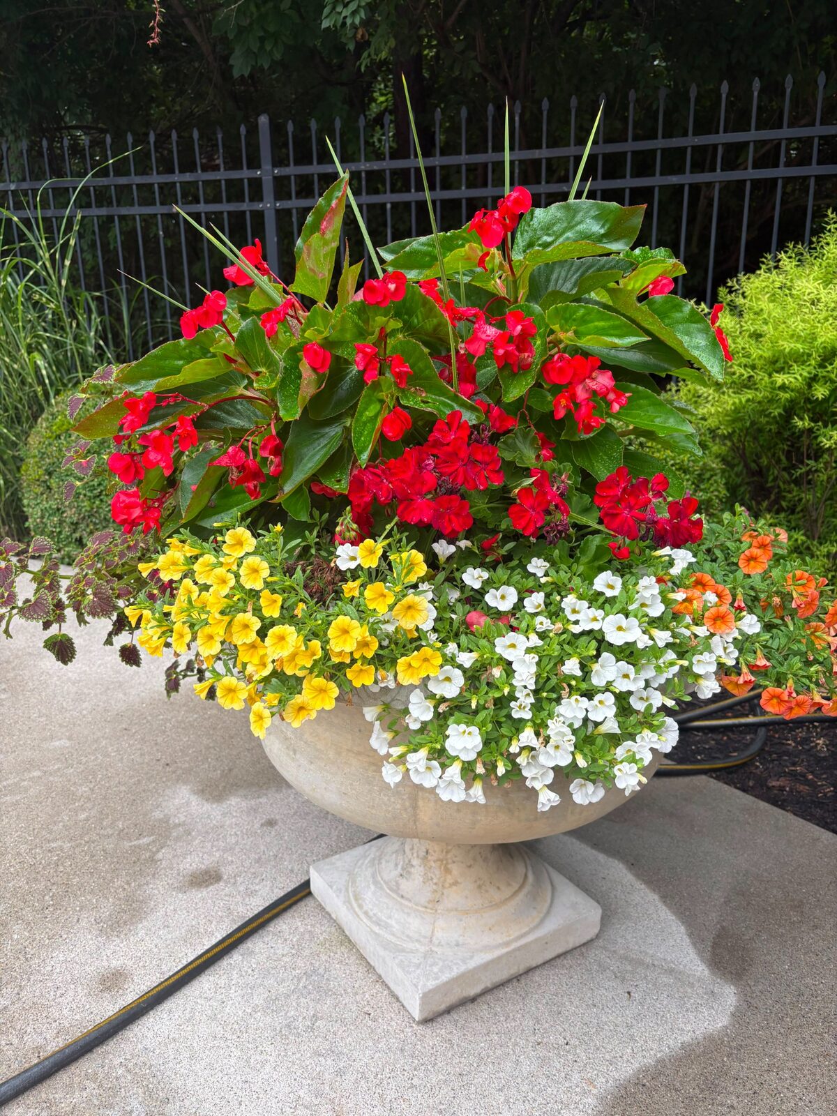 Colorful urn arrangement by M&J Landscaping
