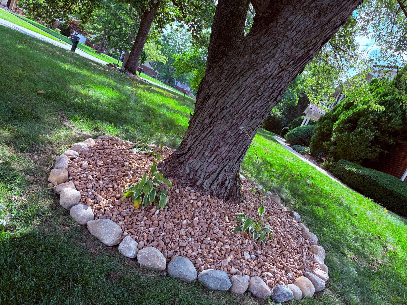 Tree-bed stone edging by M&J Landscaping