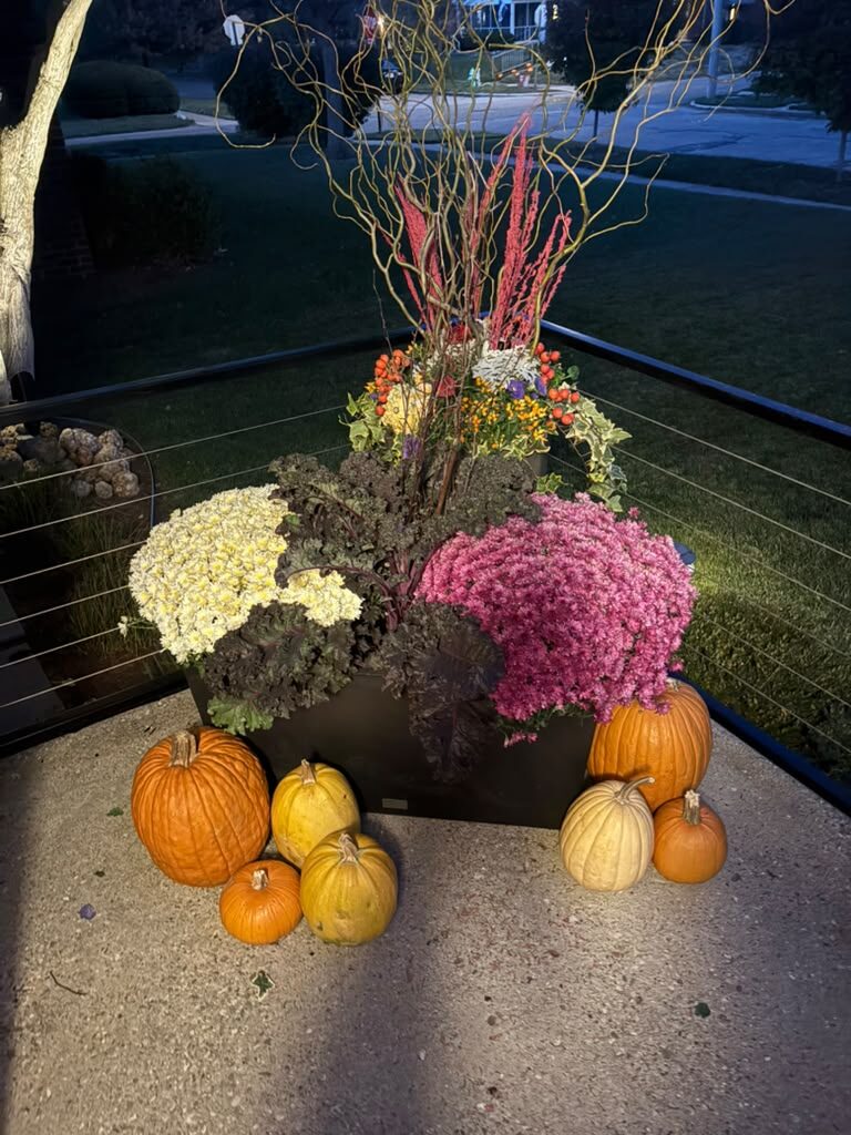 Autumn container design by M&J Landscaping