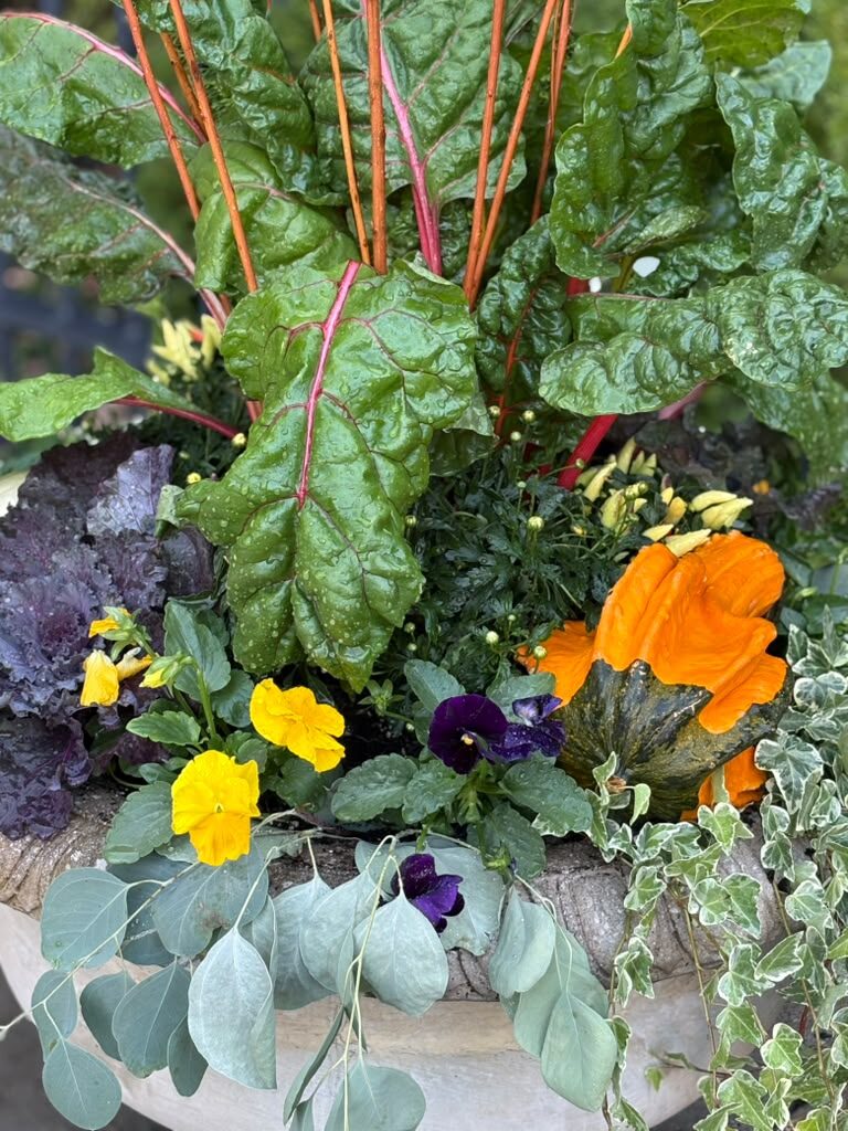 Color and texture details by M&J Landscaping